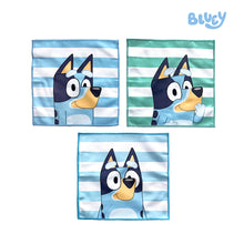 Load image into Gallery viewer, Totsafe Bluey Microfiber Towel Collection