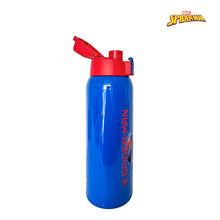Load image into Gallery viewer, Zippies Lab Disney 1L Insulated Tumblers with Carrying Pouch