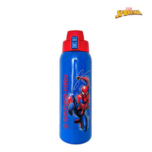 Load image into Gallery viewer, Zippies Lab Disney 1L Insulated Tumblers with Carrying Pouch