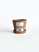 Load image into Gallery viewer, Zenpots 10cm Pot with Catch Plate