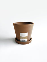 Load image into Gallery viewer, Zenpots 14cm Pot with Catch Plate