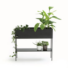 Load image into Gallery viewer, Simpli Nordic Style Raised Planter