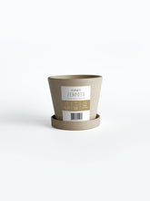 Load image into Gallery viewer, Zenpots 10cm Pot with Catch Plate