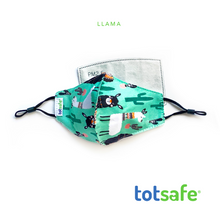 Load image into Gallery viewer, Totsafe Essential Lifestyle Mask Set (1 Mask + 3 pcs PM2.5 Filter)