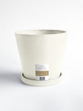 Load image into Gallery viewer, Zenpots 20cm Pot with Catch Plate
