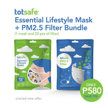 Load image into Gallery viewer, Totsafe Girls Rule Mom-Daughter Twinning Mask (Mask Set with 3 pcs. PM2.5 filter)
