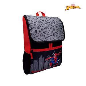 Marvel Spider-Man Hometown Hero Collection