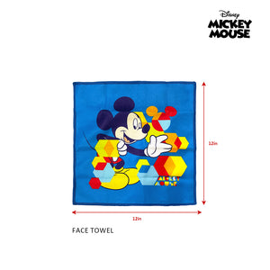Totsafe Disney Microfiber Towel Sets