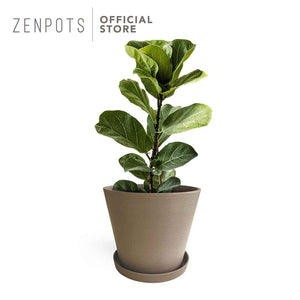 Zenpots 30cm Pot with Catch Plate