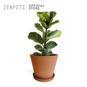 Zenpots 30cm Pot with Catch Plate