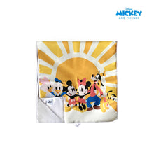 Load image into Gallery viewer, Totsafe Disney Quick Dry Microfiber Towels (10 Designs)
